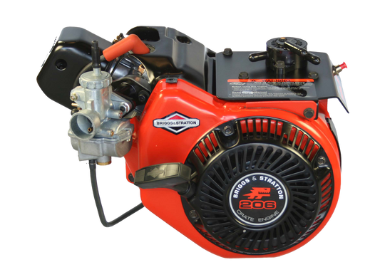 Briggs & Stratton LO206 (Race Ready Color Slide)